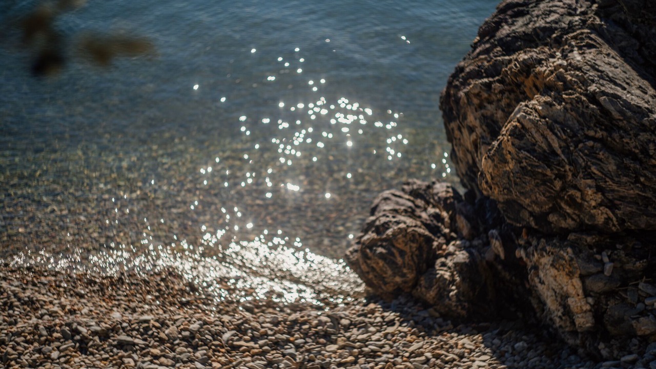 Photo of Others in Mytilene
