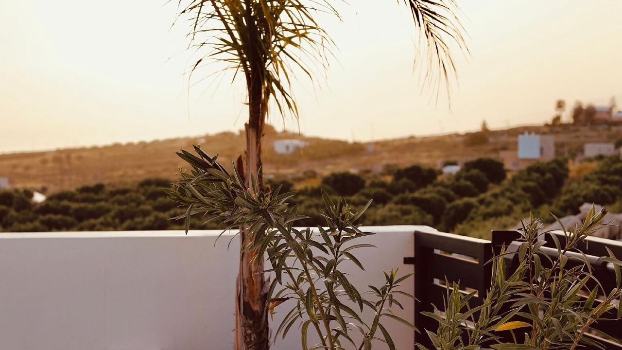 Photo of Outdoor in Kamilari