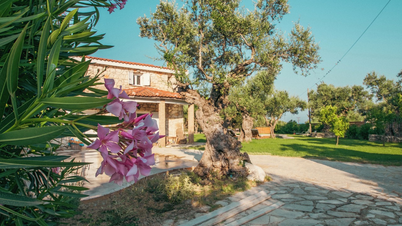 Photo of Outdoor in Xirokastello