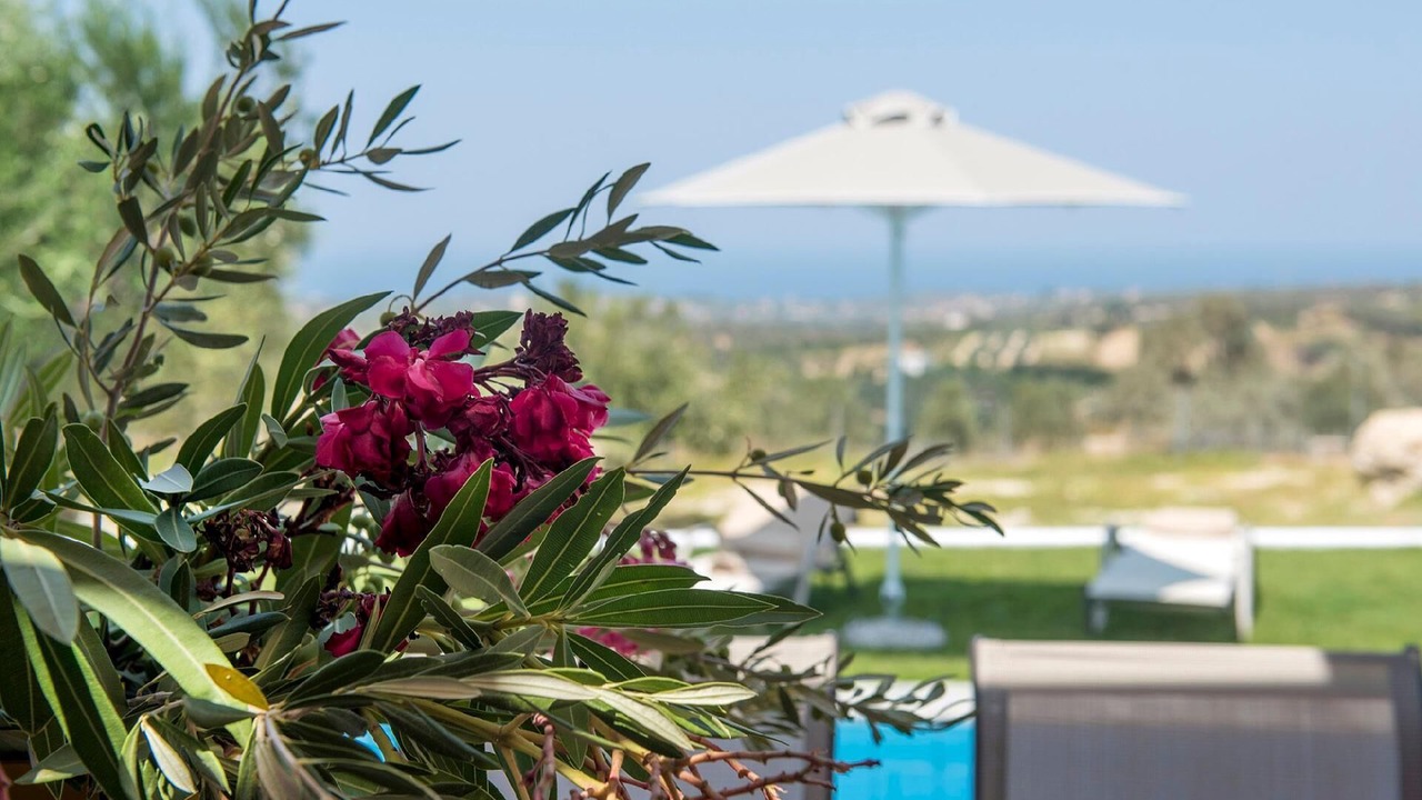 Photo of Outdoor in Kirianna