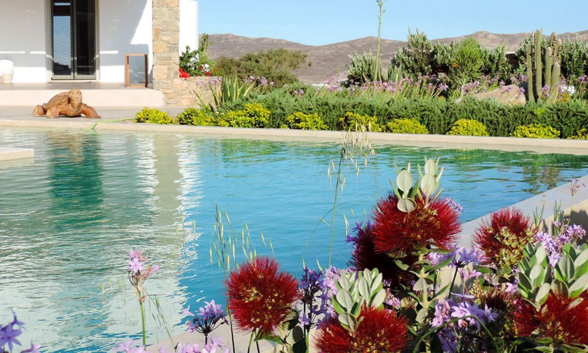 Photo of Others in Tourlos