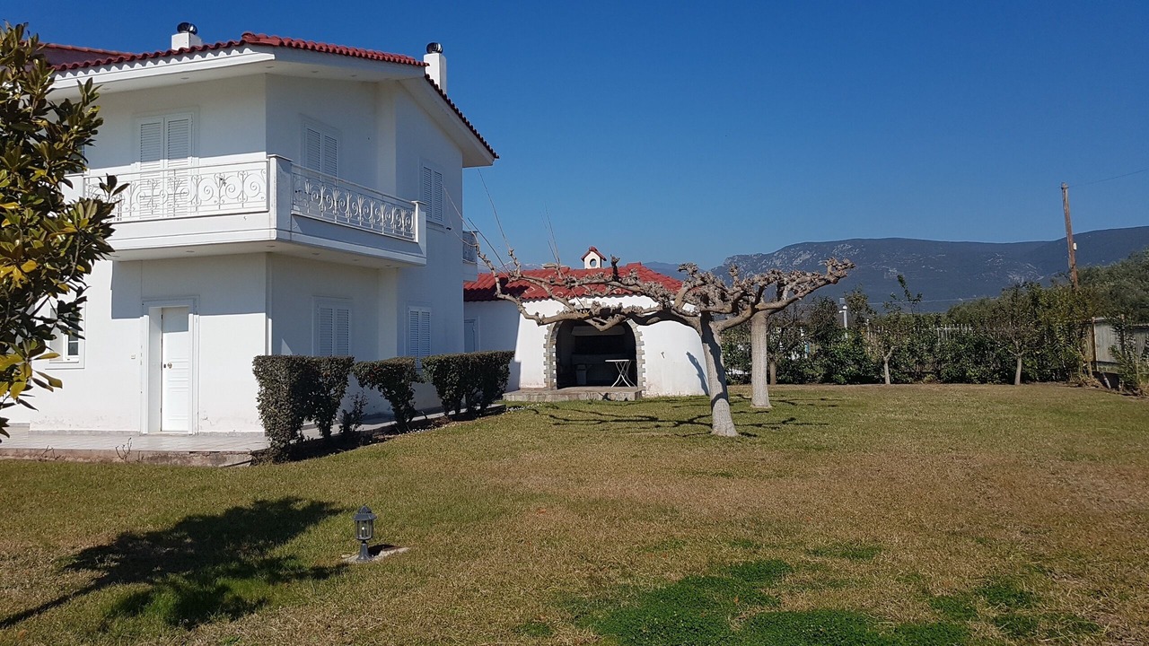 Photo of Outdoor in Stylida