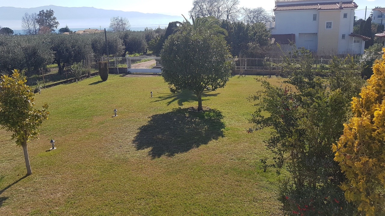 Photo of Outdoor in Stylida