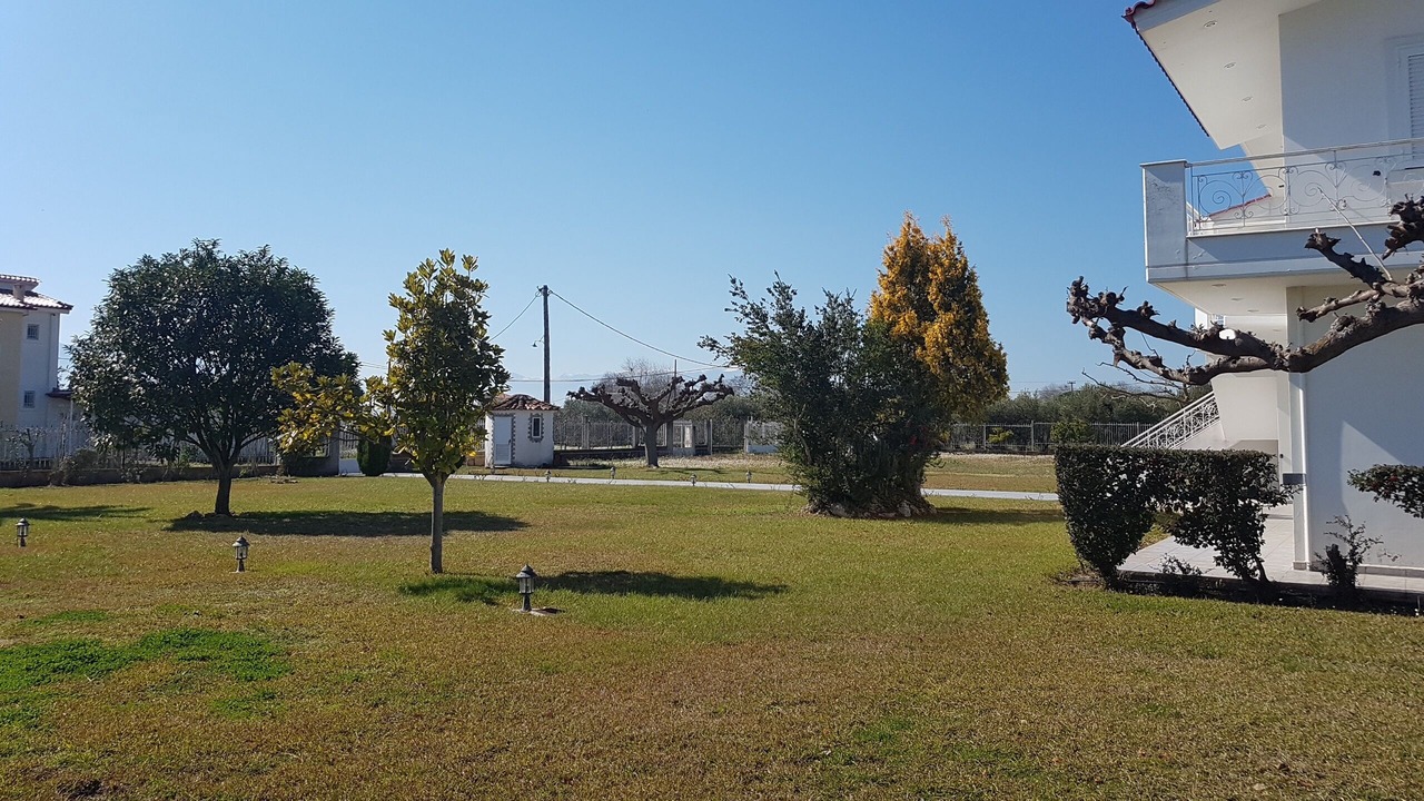 Photo of Outdoor in Stylida