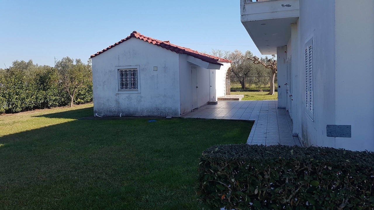 Photo of Outdoor in Stylida