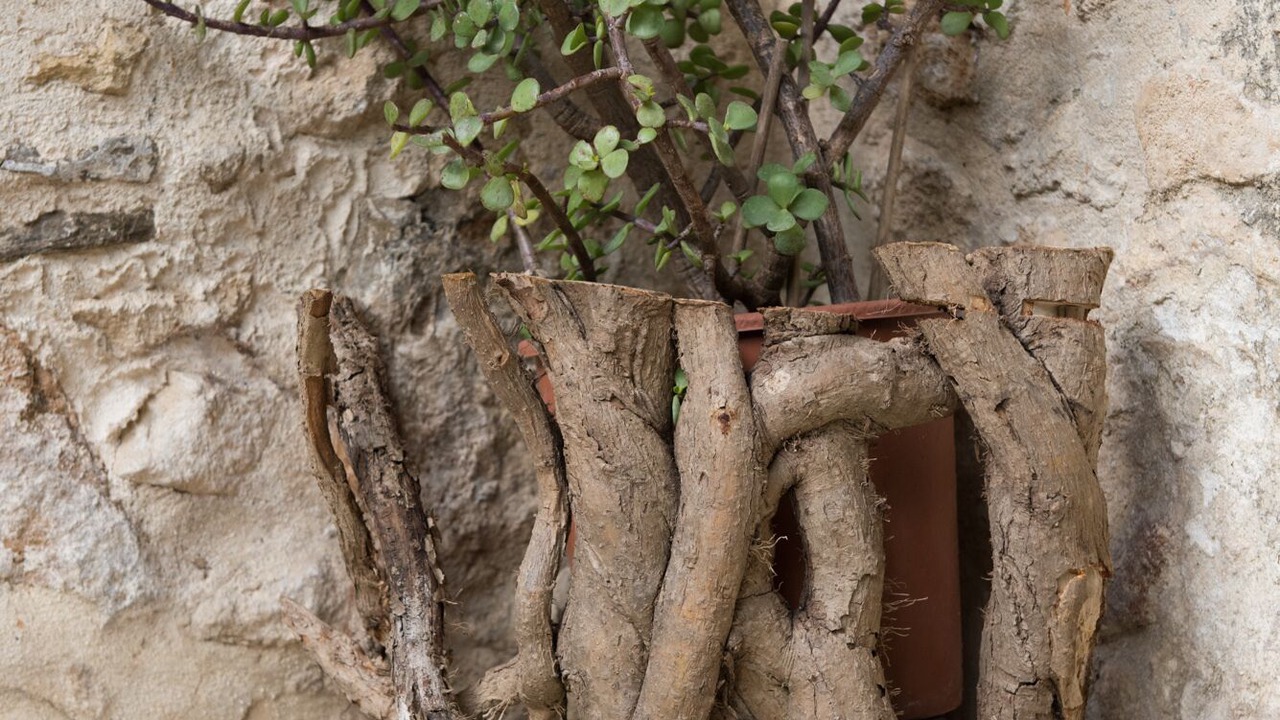 Photo of Outdoor in Rethymno