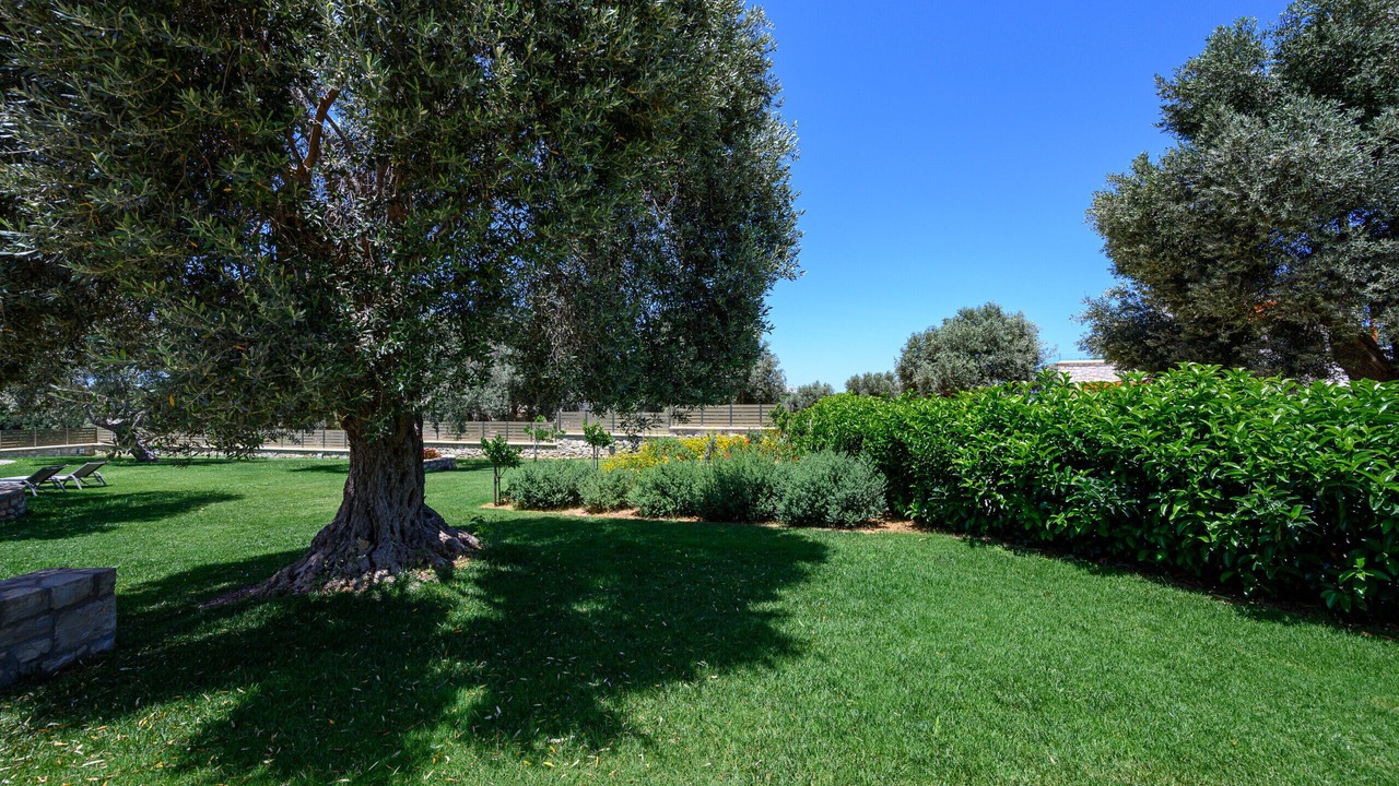 Photo of Outdoor in Prinos
