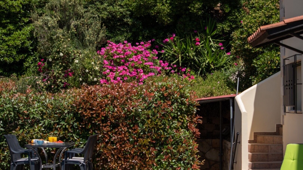 Photo of Outdoor in Ano Vouves