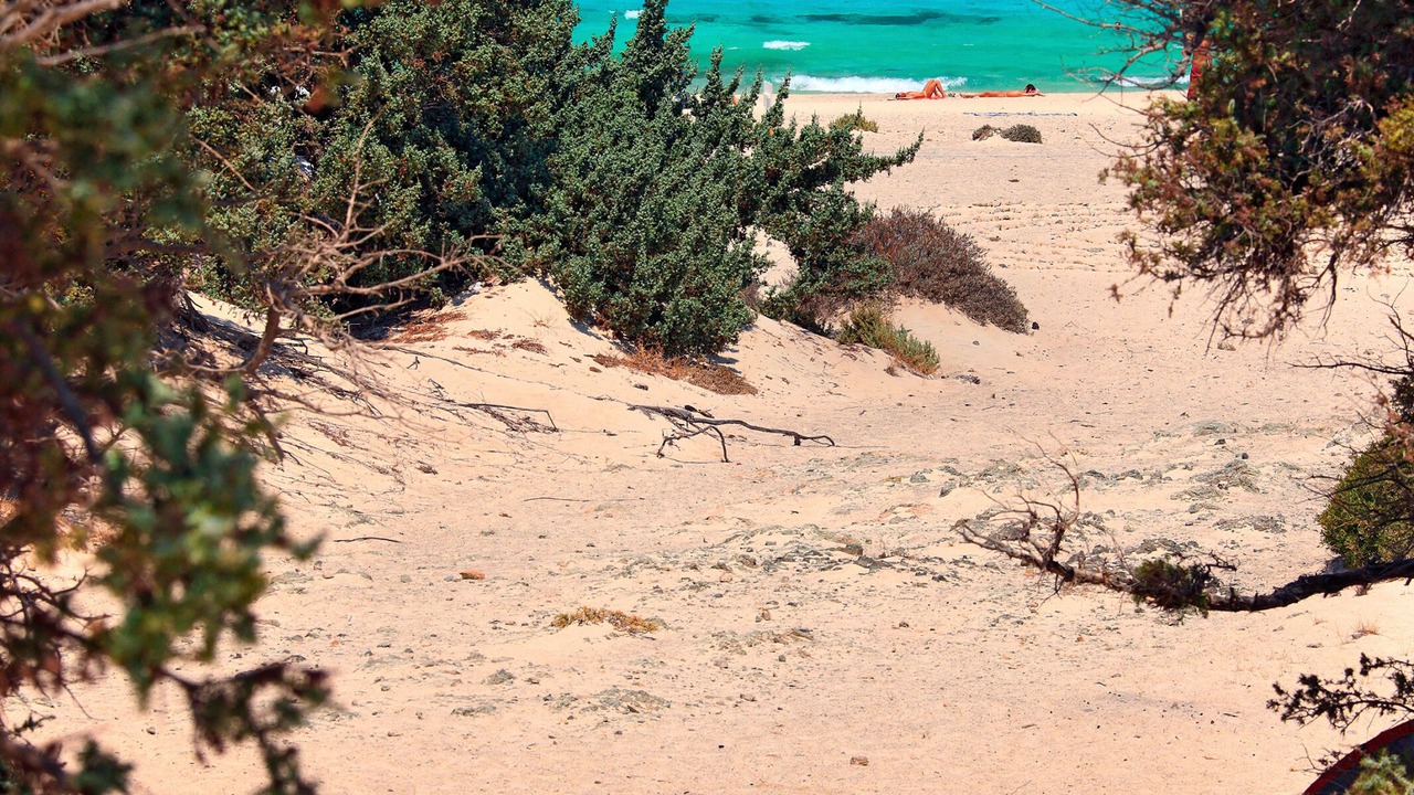 Photo of Others in Ierapetra