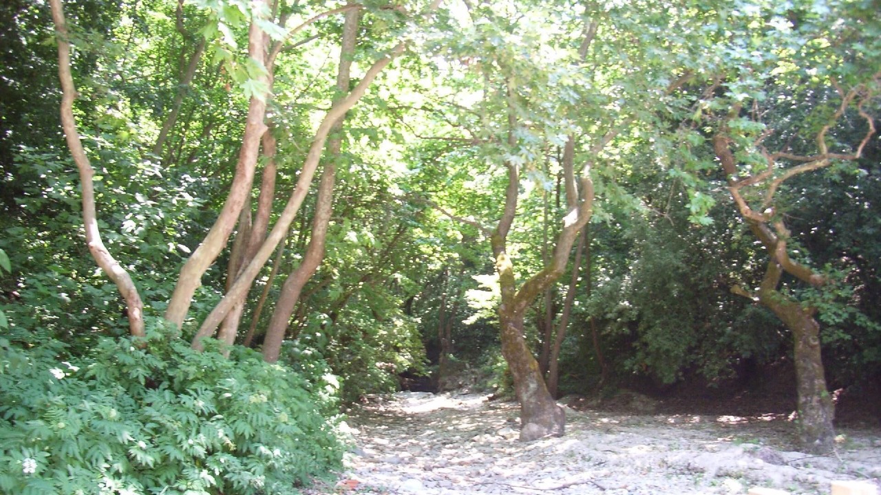 Photo of Outdoor in Kazaviti