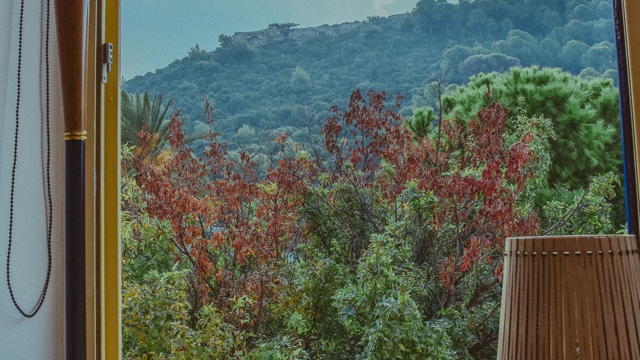Photo of Others in Ixia