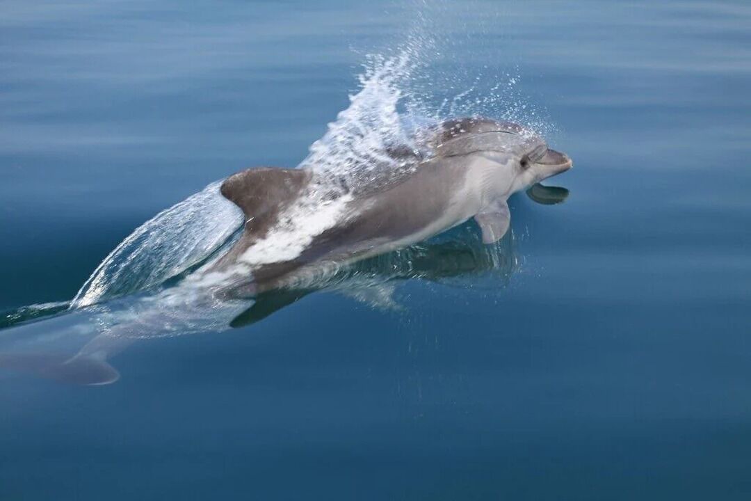 Photo of Outdoor in Ammoudia