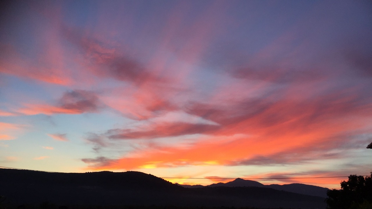 Photo of Others in Ammoudia