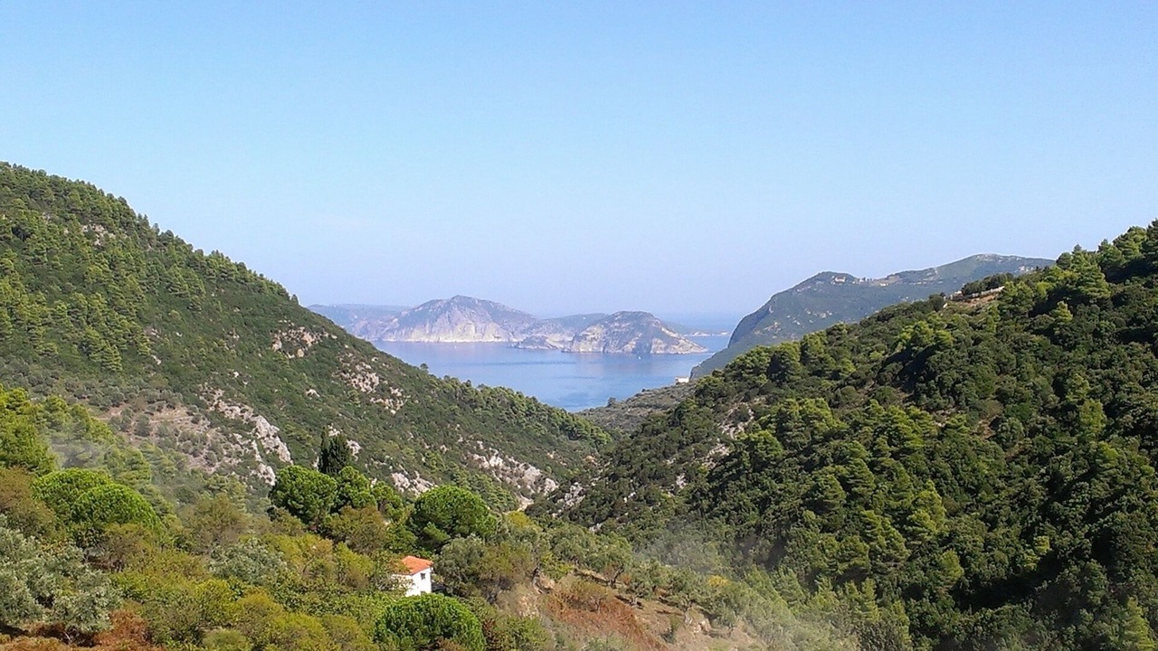 Photo of Others in Skopelos