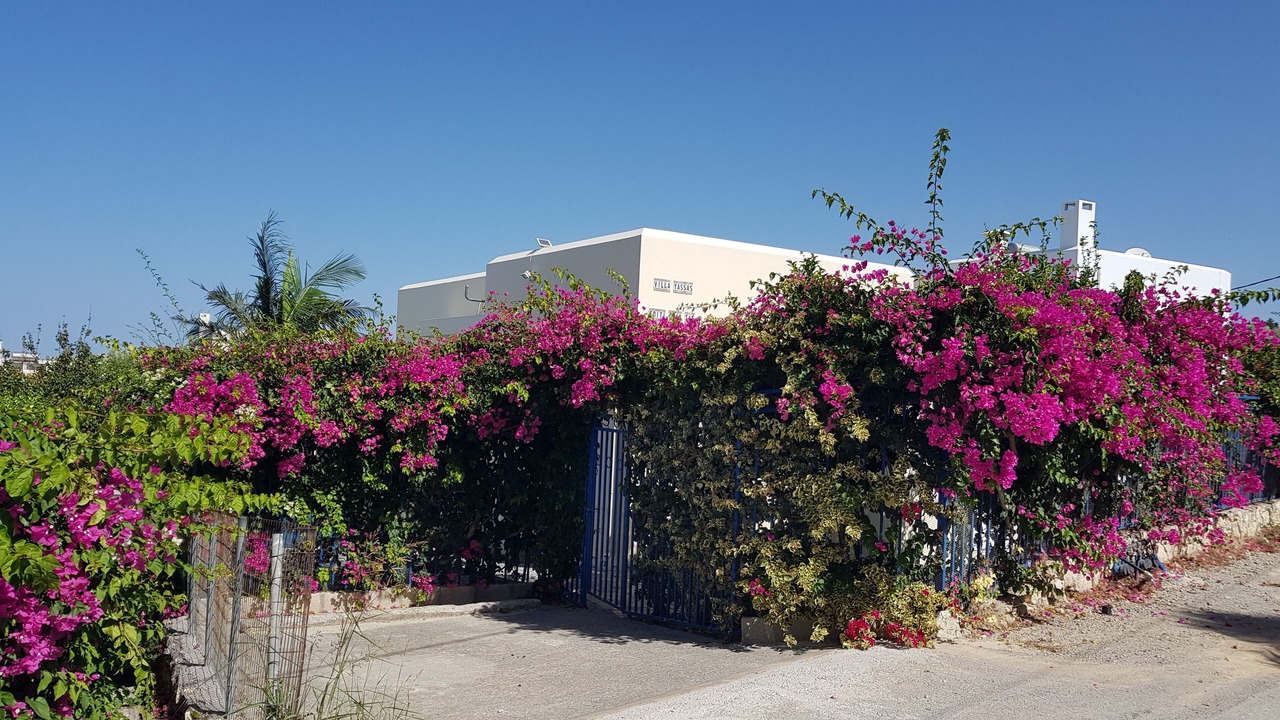 Photo of Outdoor in Loutra