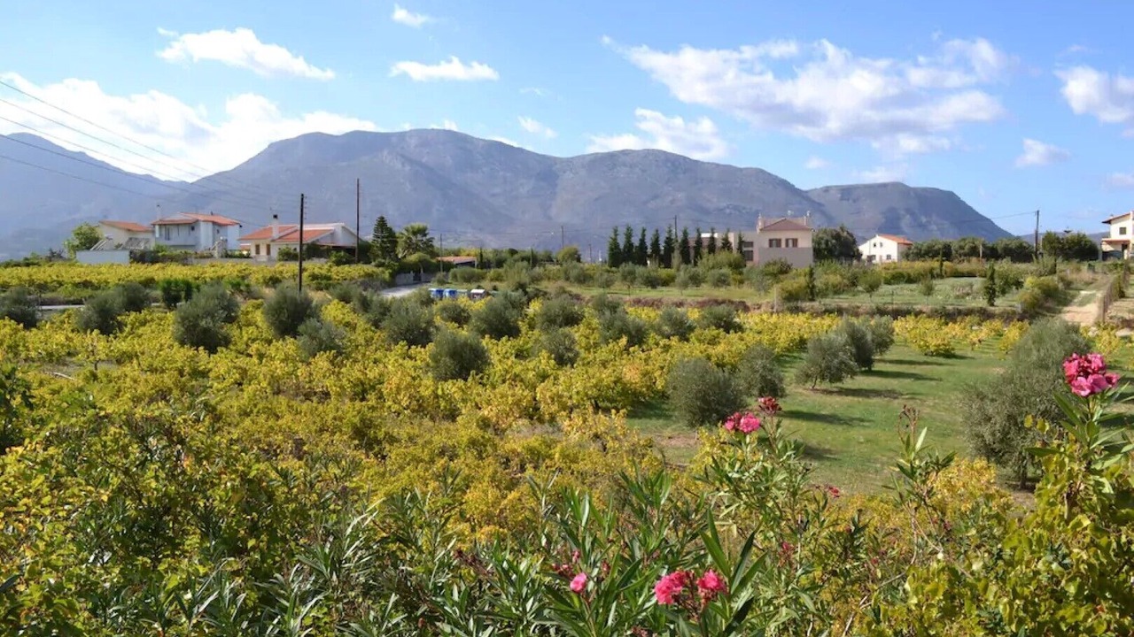 Photo of Outdoor in Pendamodi