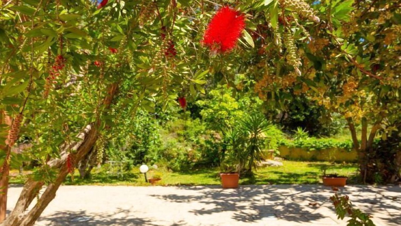 Photo of Outdoor in Mousata