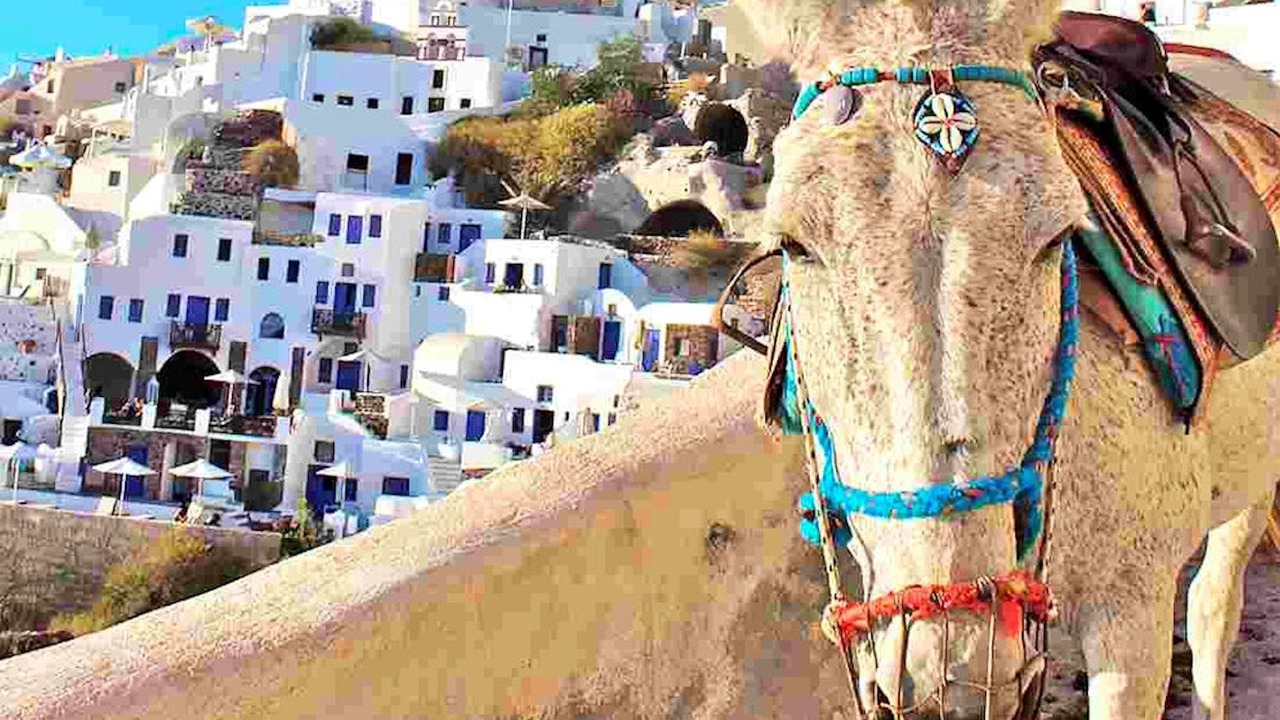 Photo of Others in Lefkas