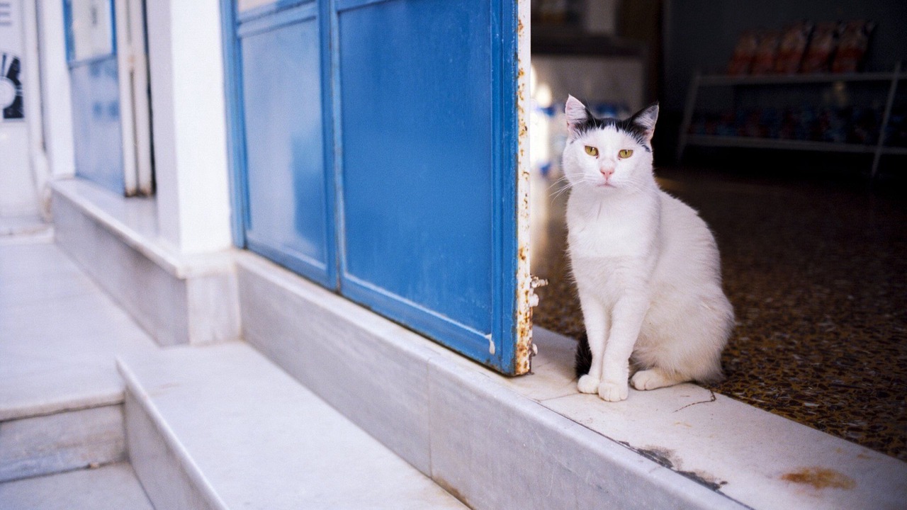 Photo of Others in Lefkas