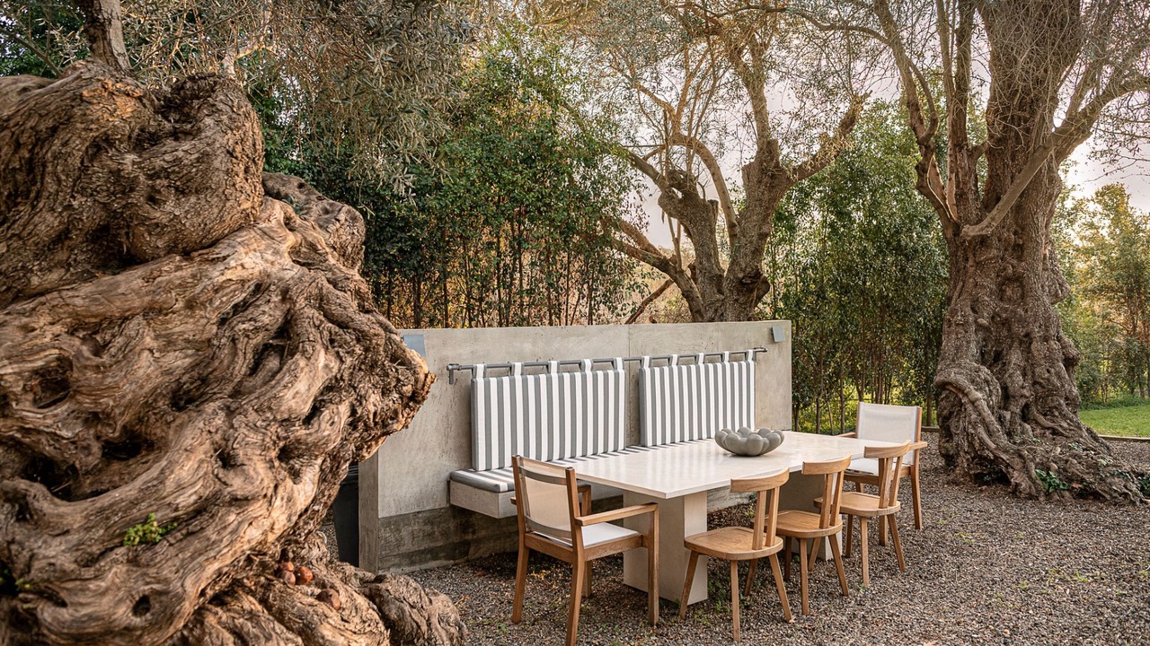 Photo of Outdoor in Perivolia