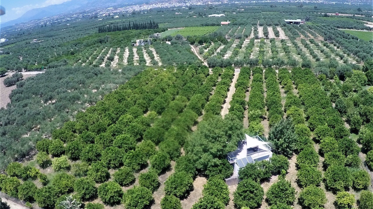 Photo of Outdoor in Mires
