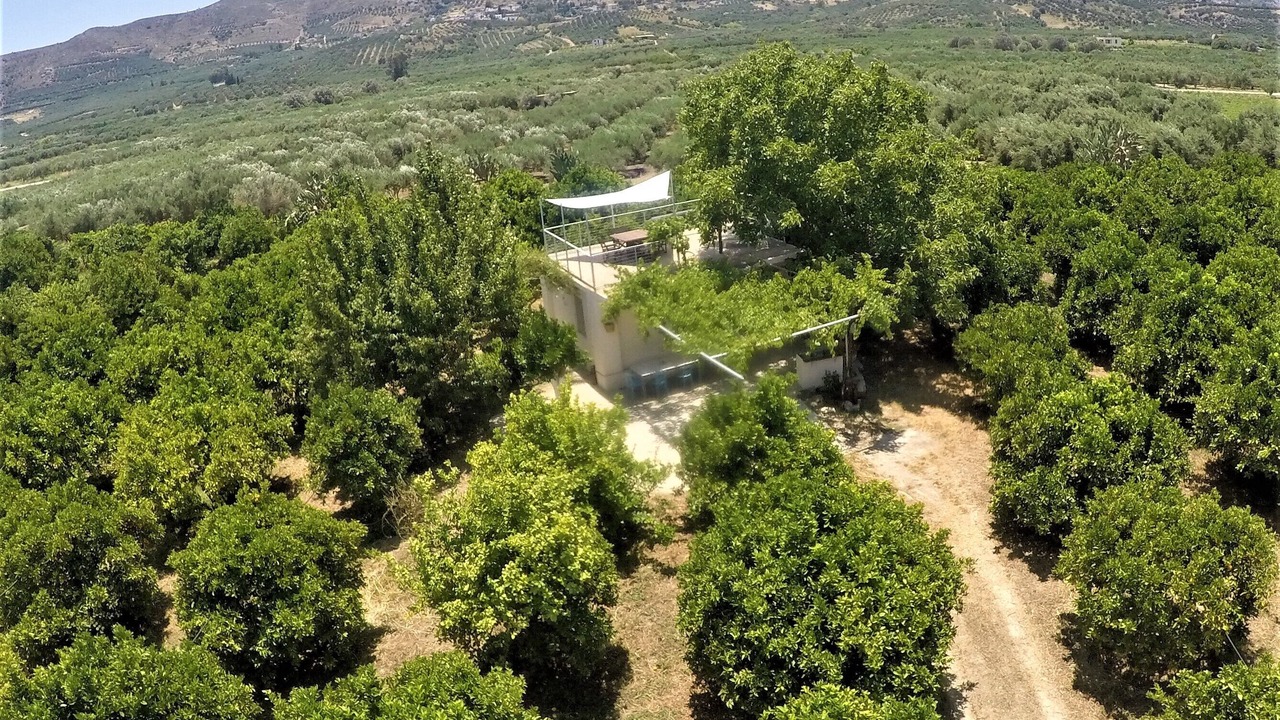 Photo of Outdoor in Mires