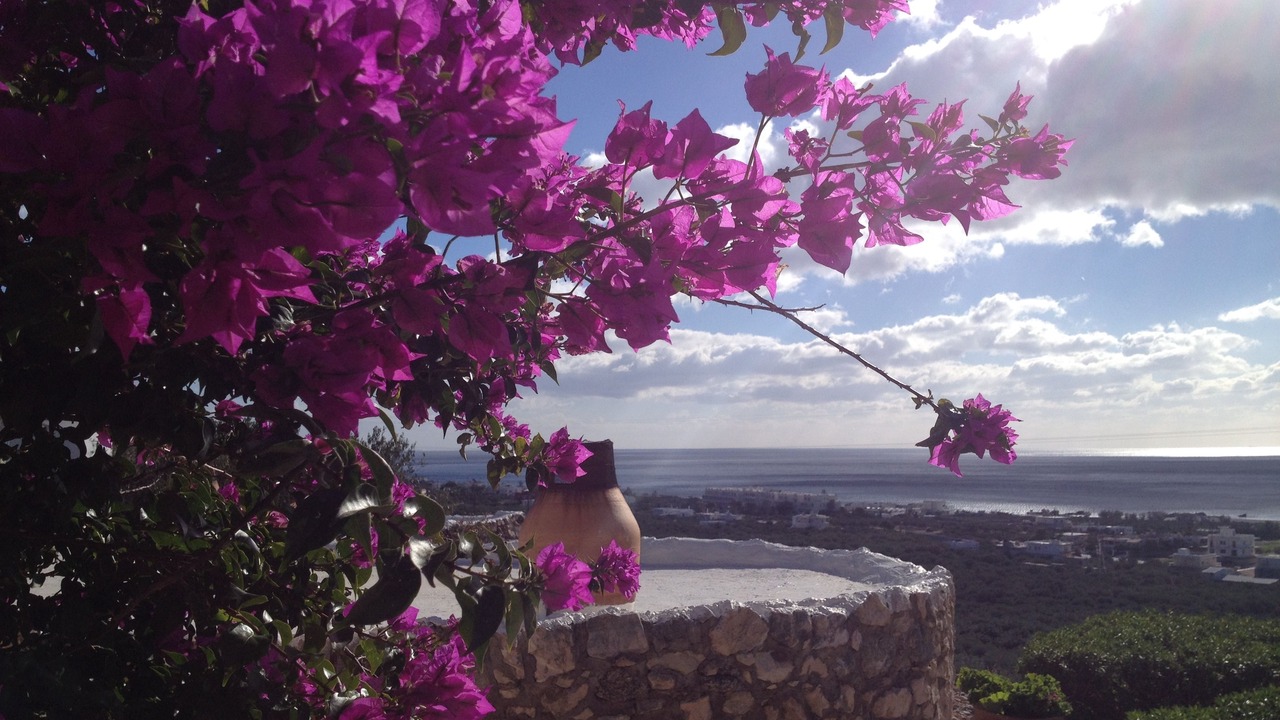 Photo of Outdoor in Koutsounari