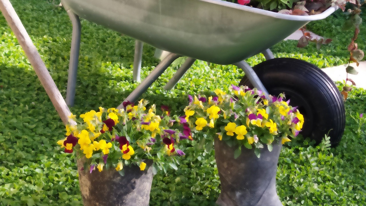 Photo of Outdoor in Faistos