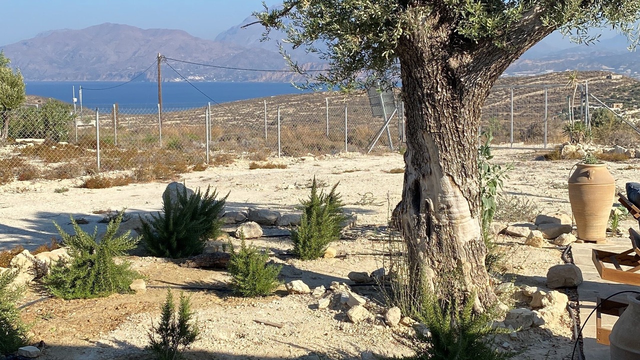 Photo of Outdoor in Neo Kalamaki