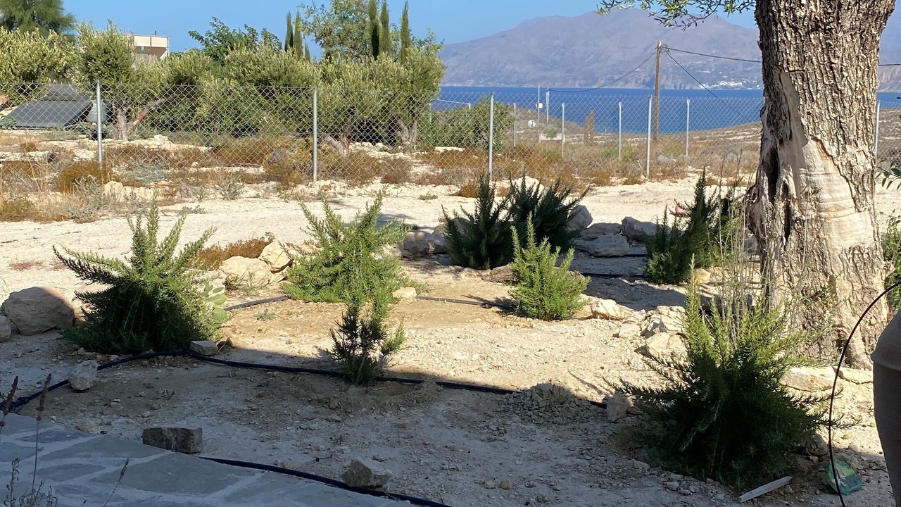 Photo of Outdoor in Neo Kalamaki