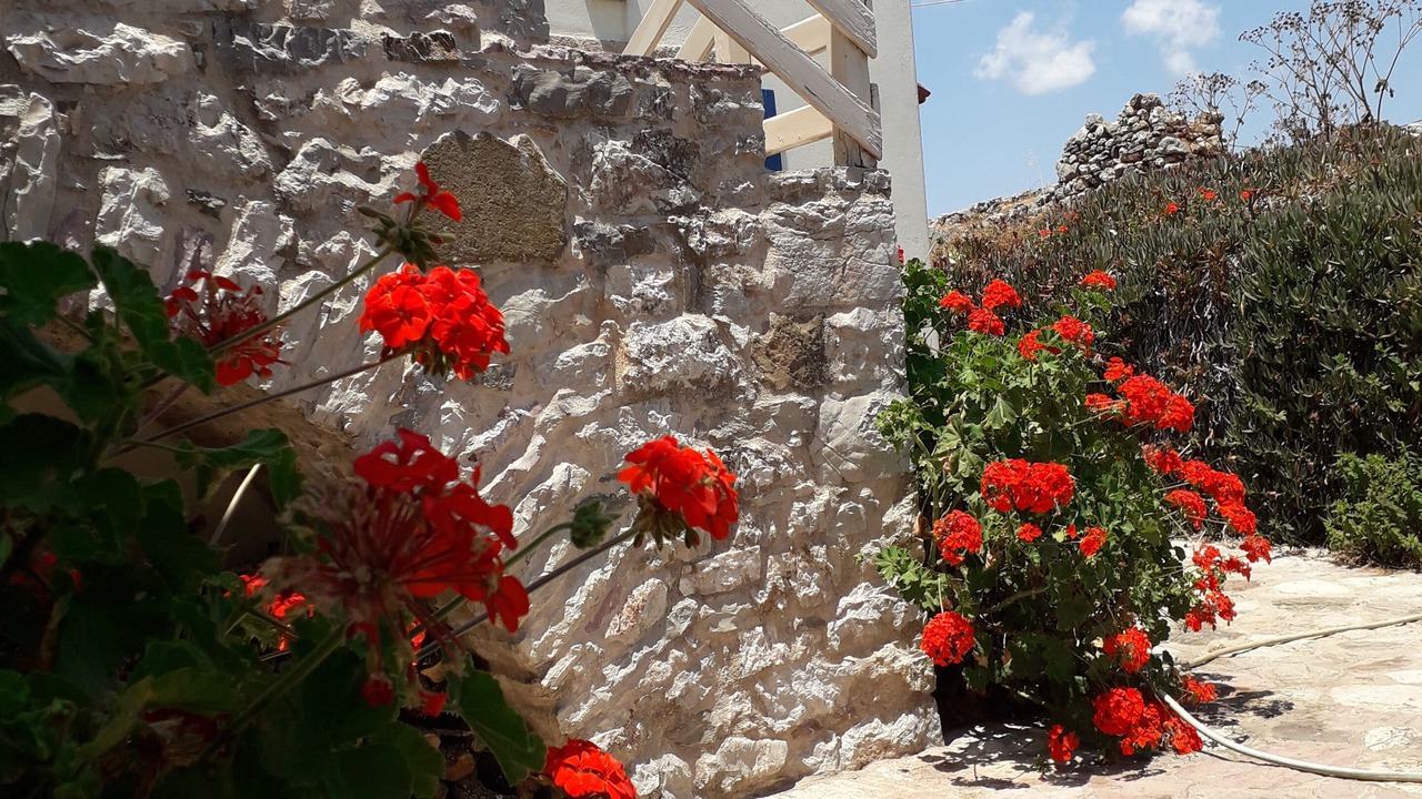 Photo of Outdoor in Kithira