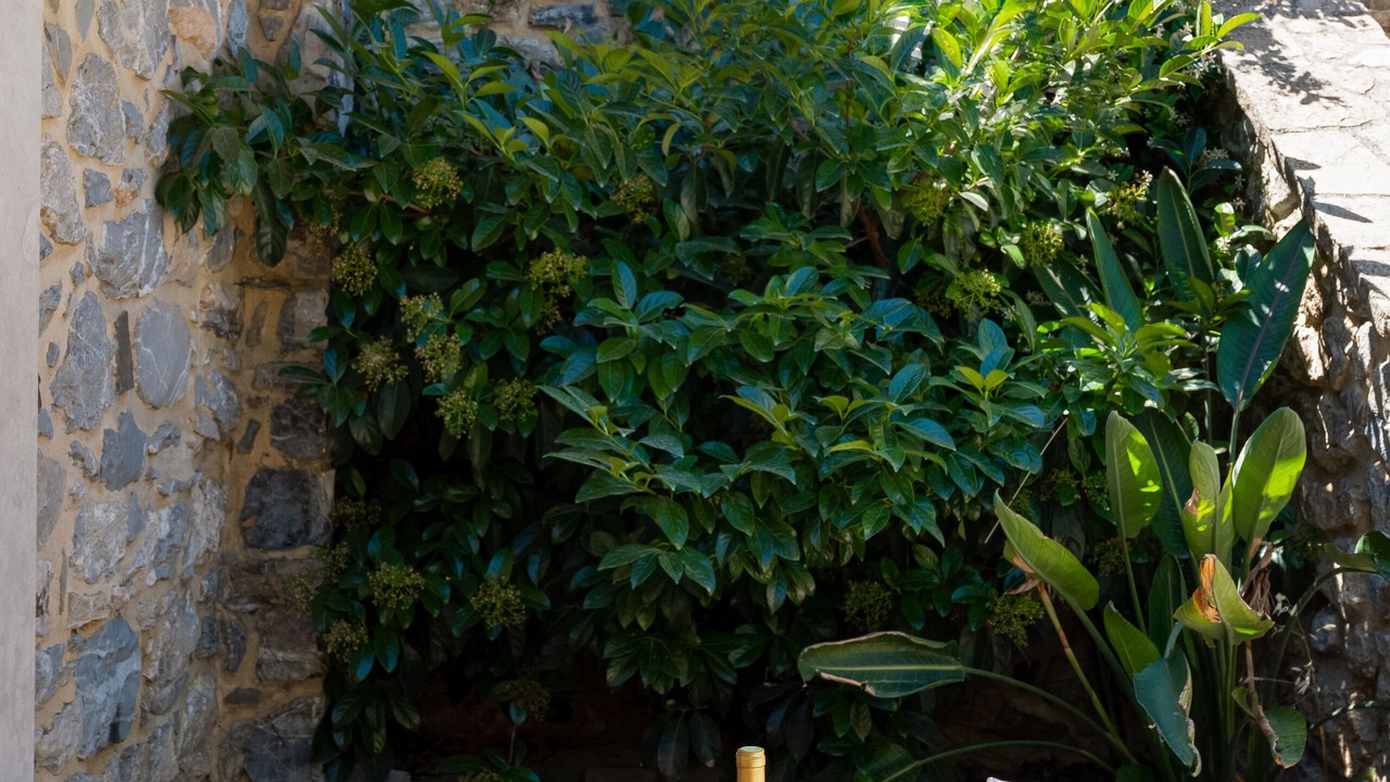 Photo of Outdoor in Faistos