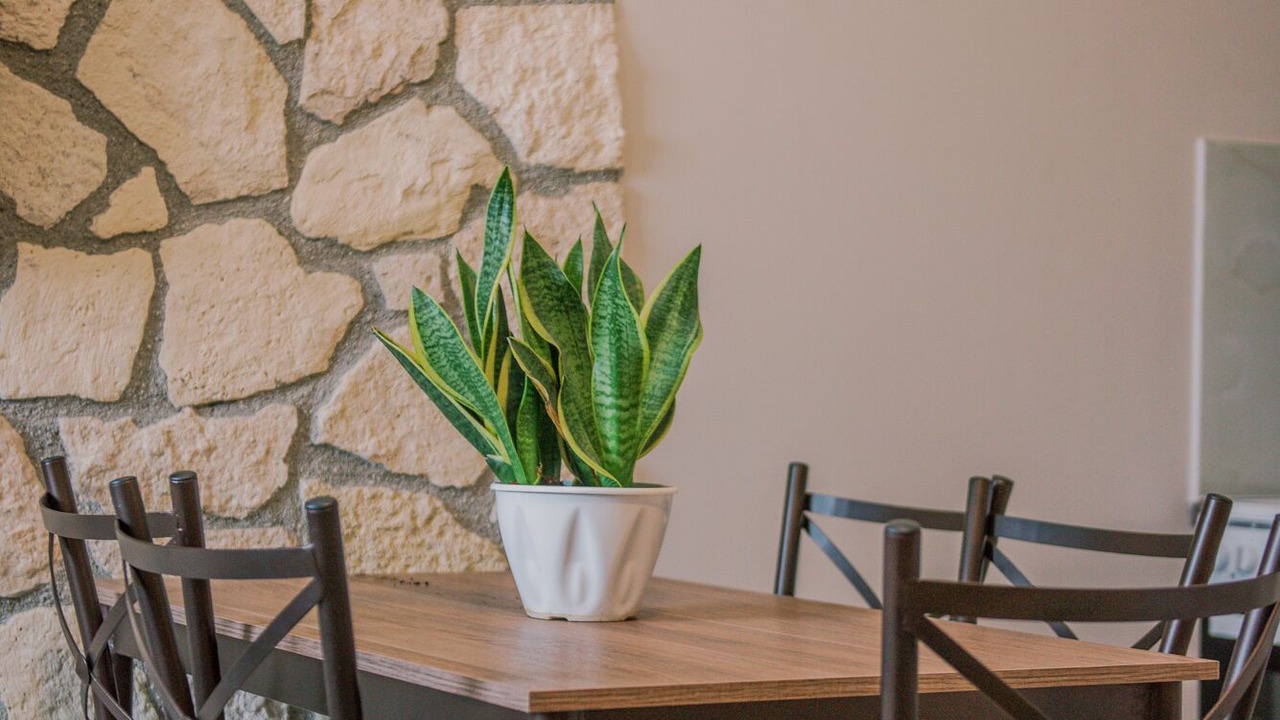 Photo of Livingroom in Archea Korinthos