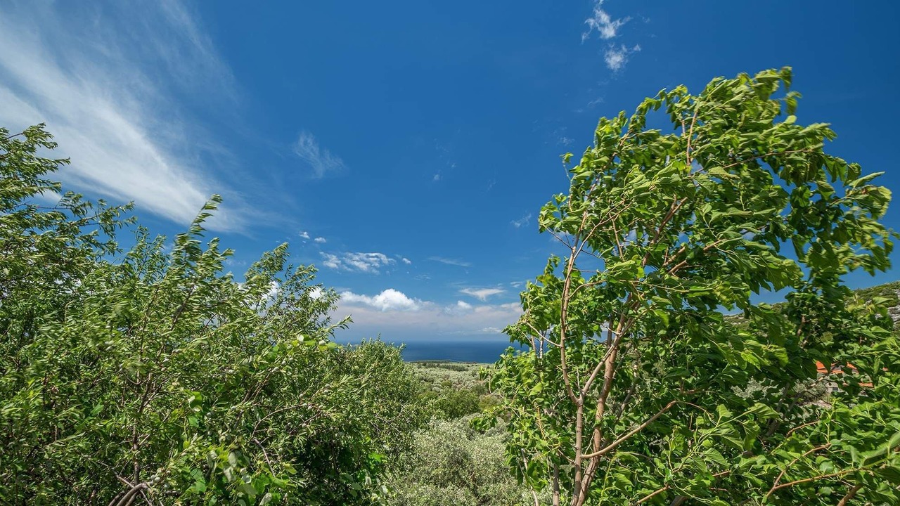 Photo of Outdoor in Kallirakhi