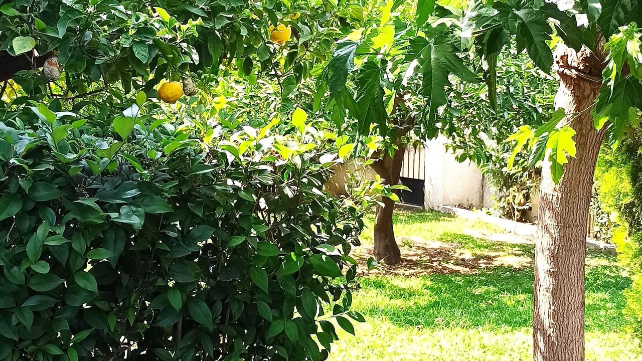 Photo of Outdoor in Paralia Porovitsis