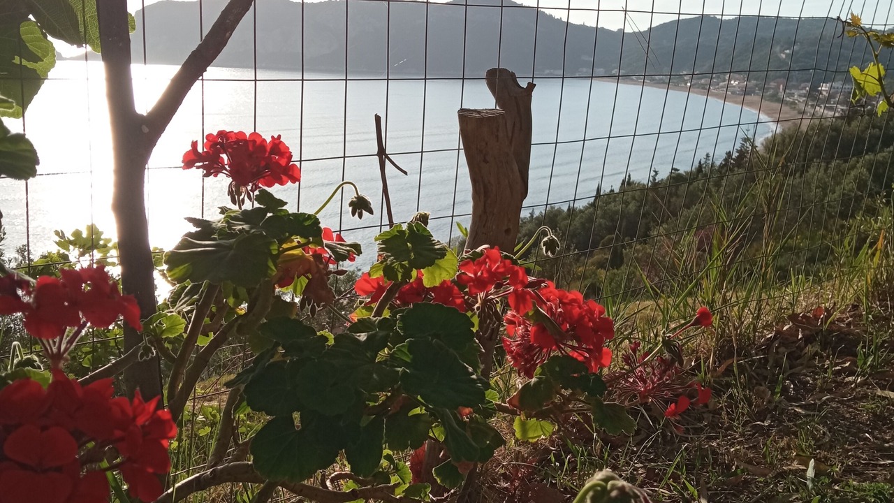 Photo of Others in Agios Georgios Pagon