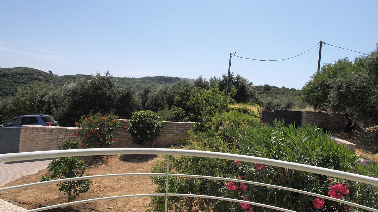 Photo of Outdoor in Mothiana