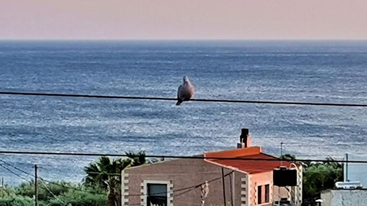 Photo of Outdoor in Ferma