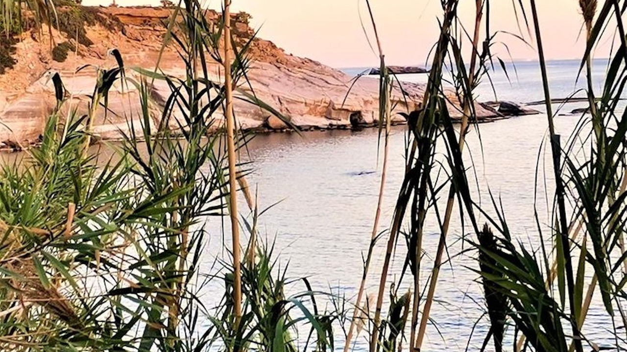 Photo of Others in Ferma
