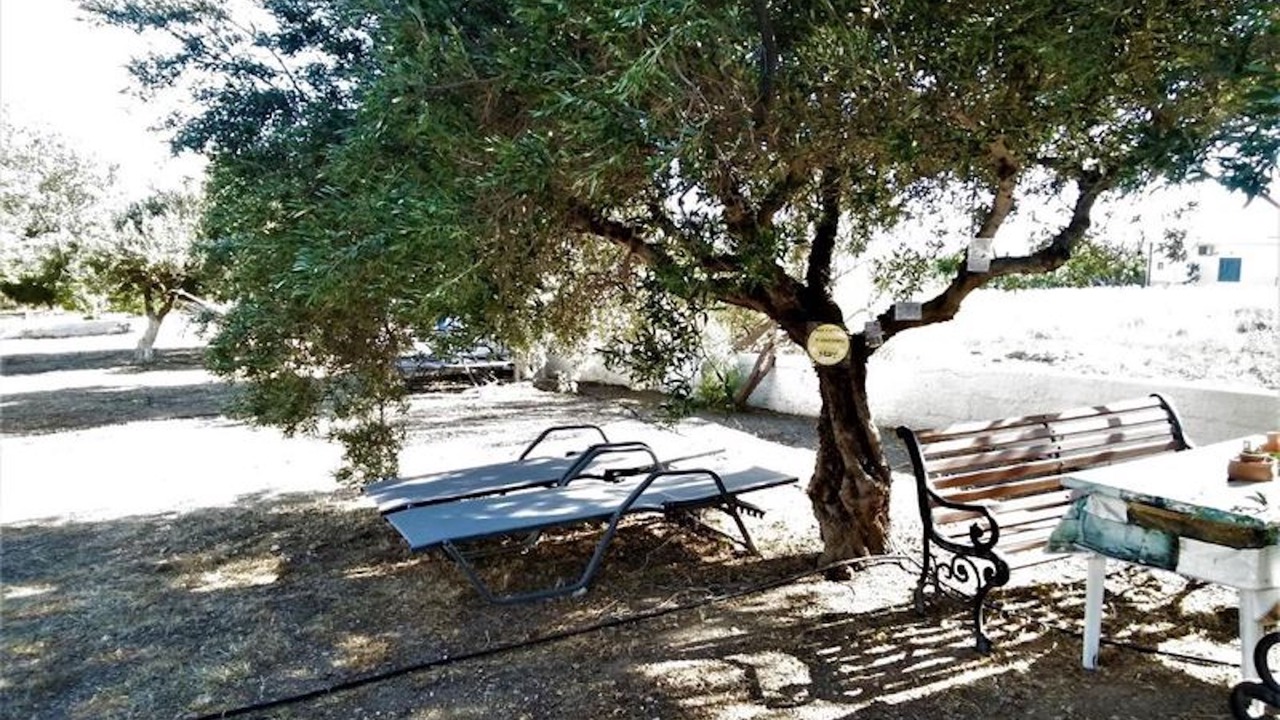 Photo of Outdoor in Ferma