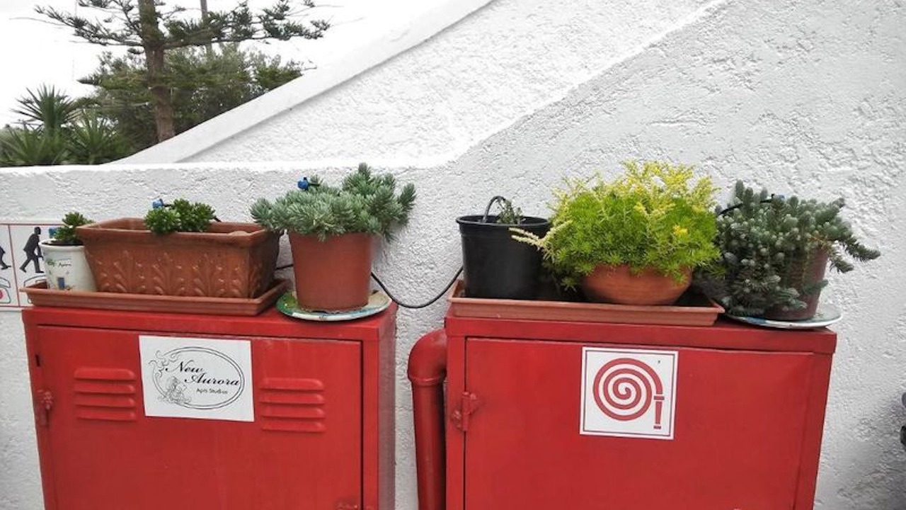 Photo of Others in Ferma