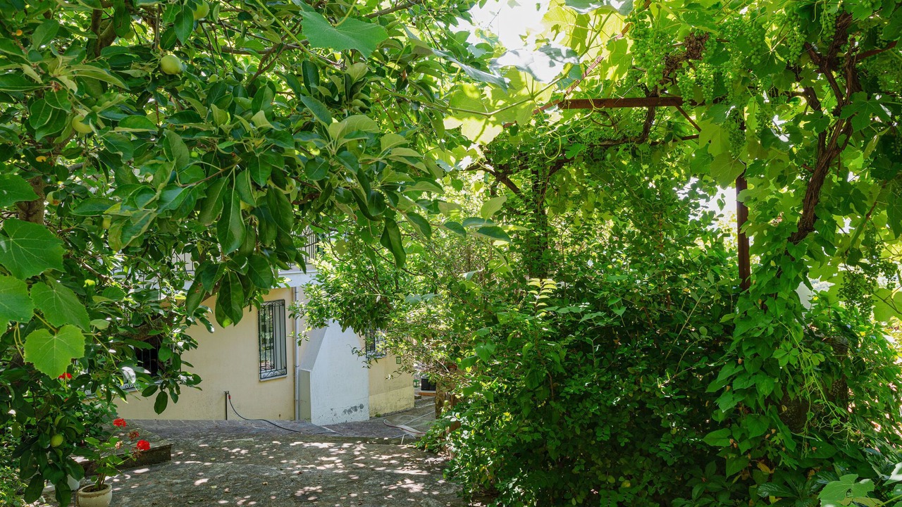 Photo of Others in Kalavrouza