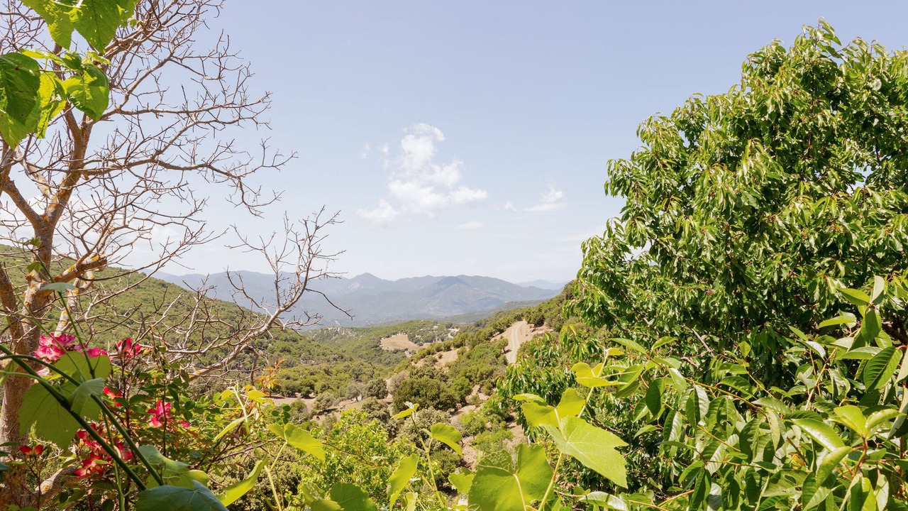 Photo of Others in Kalavrouza