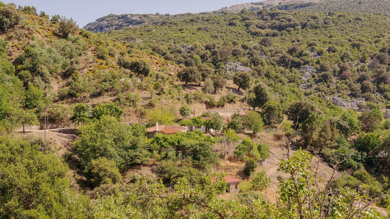 Photo of Others in Kalavrouza