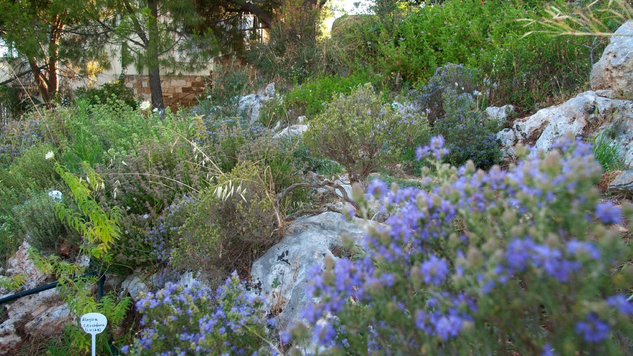 Photo of Outdoor in Pitharion