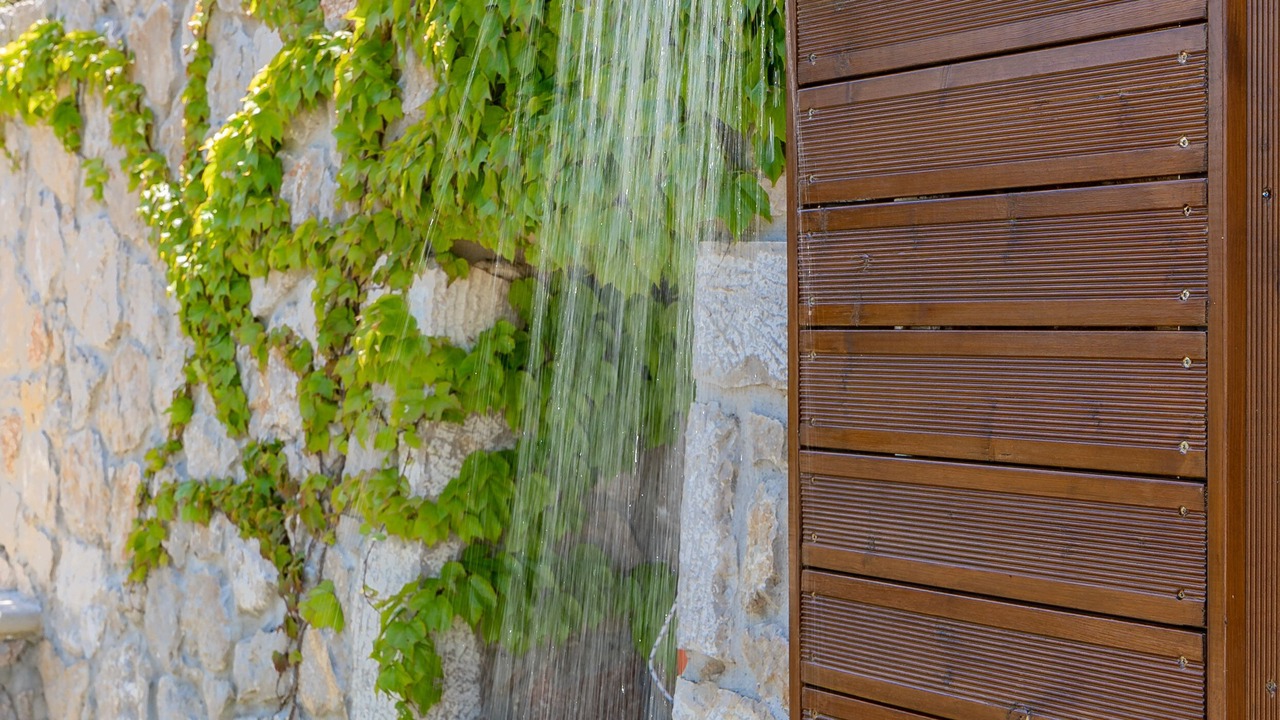 Photo of Outdoor in Apolpaina