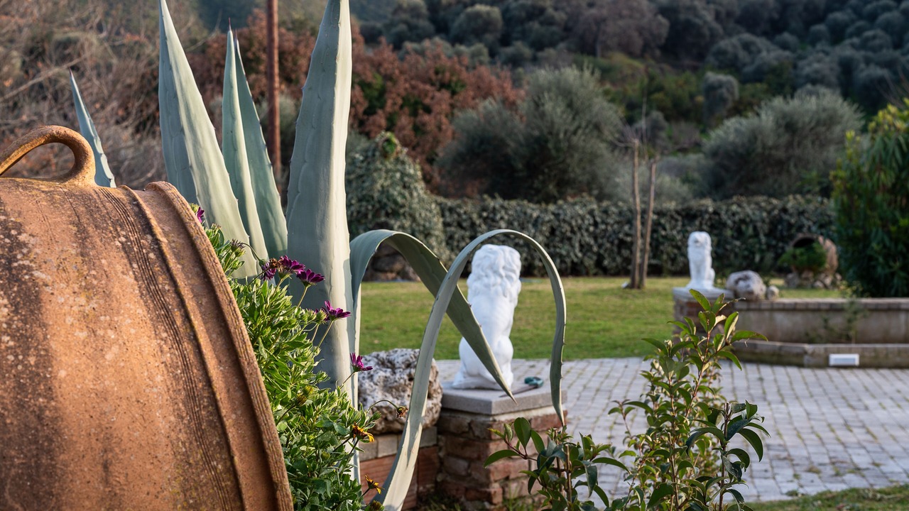 Photo of Outdoor in Vatolakkos