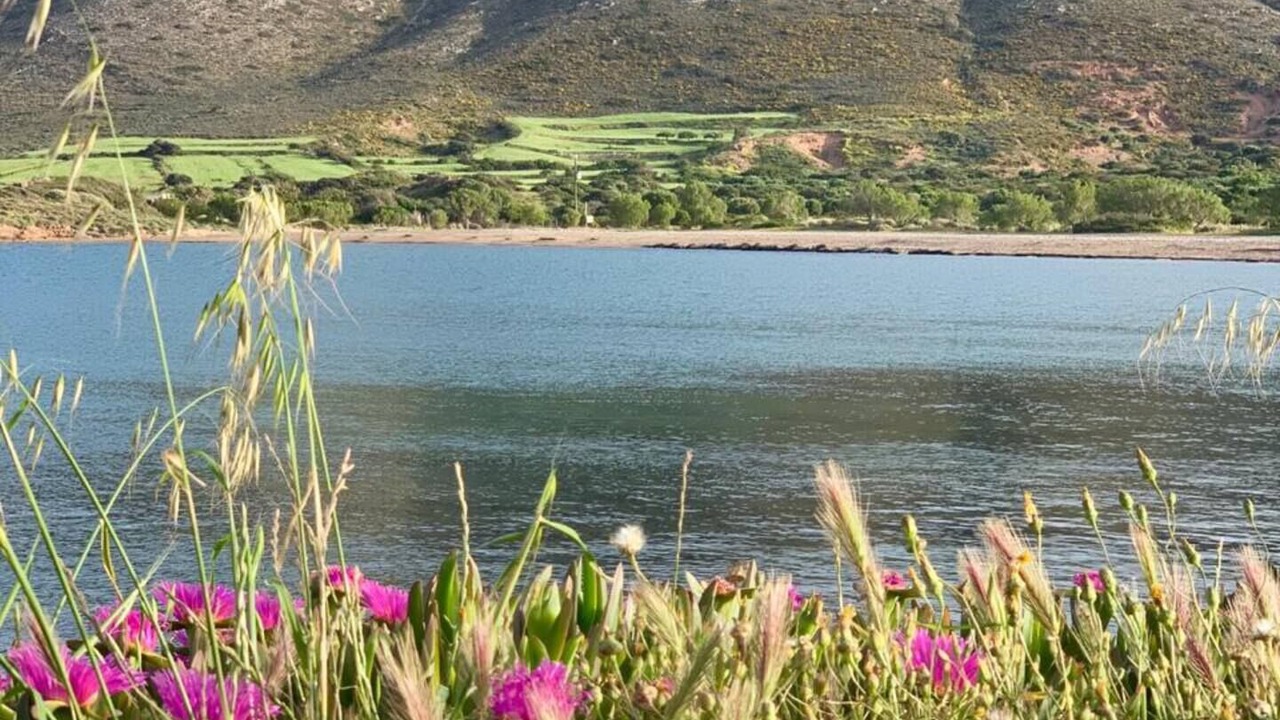 Photo of Others in Vigla