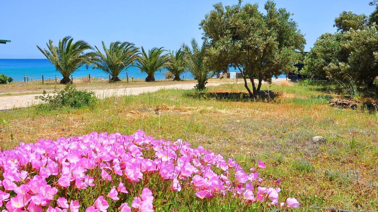 Photo of Outdoor in Vigla