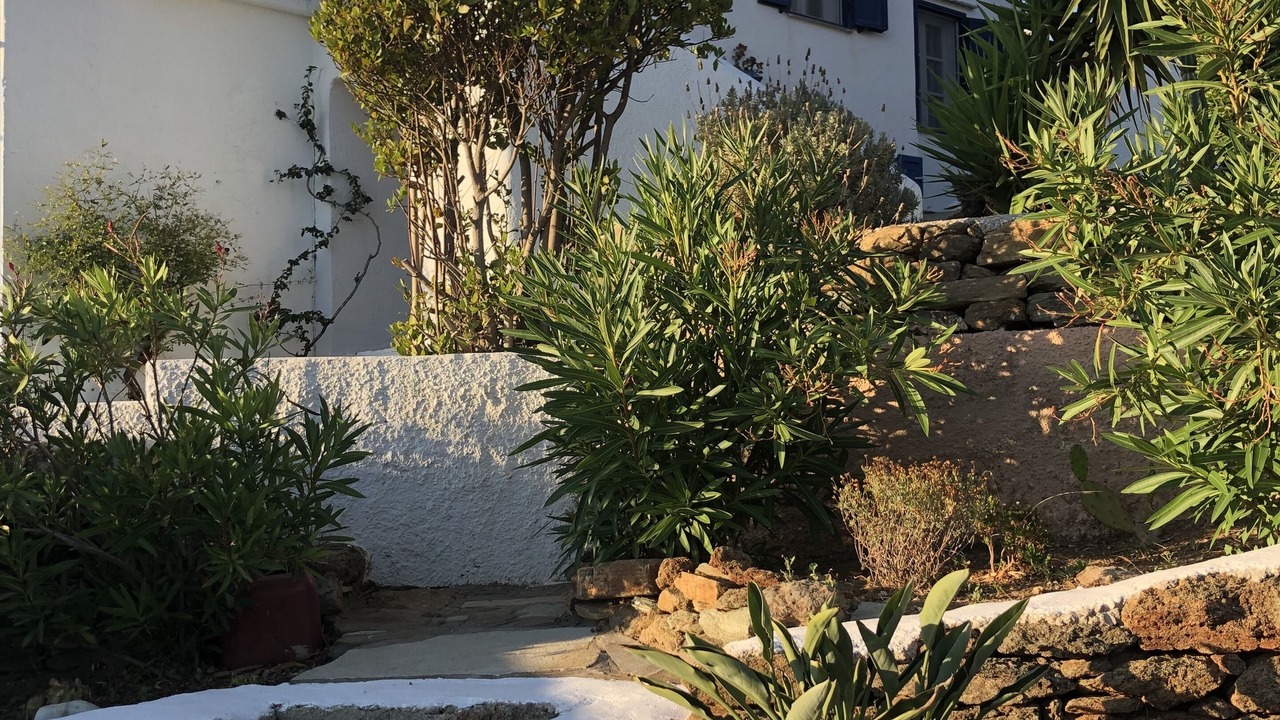 Photo of Outdoor in Agios Fokas